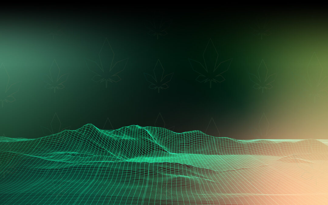 CANNALAND: What to Know About the Cannabis Metaverse