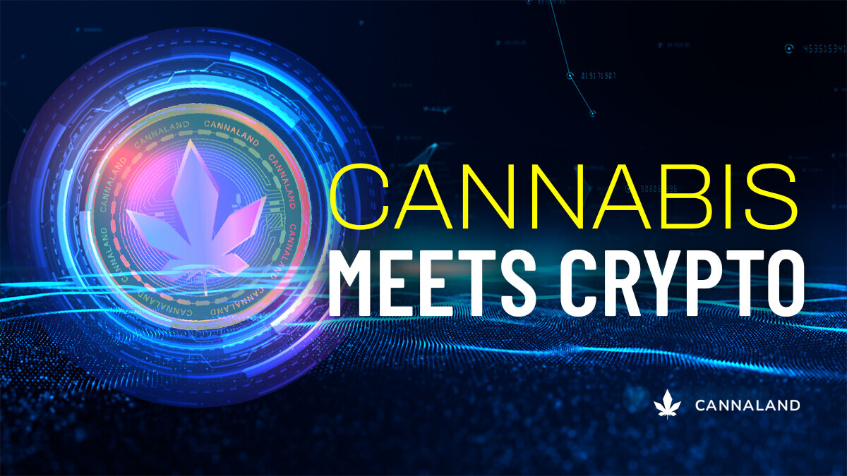 Cannabis Metaverse - CANNALAND - January 20, 2023 Live Event