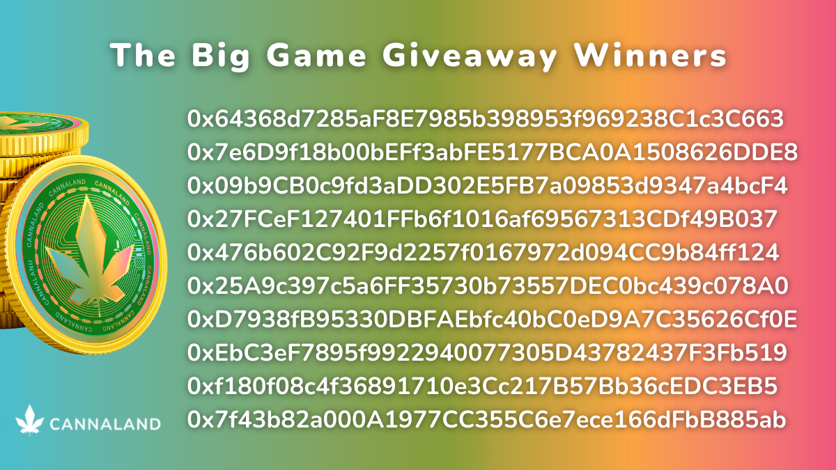 The Big Game Giveaway Winners